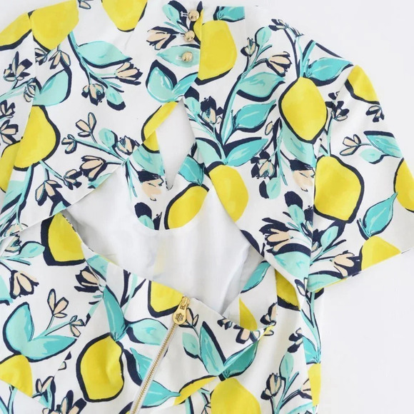 Draper James Lemon Orchard Love Circle White & Yellow Fit & Flare Dress 12 - Picture 15 of 15